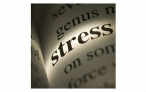 Stress Management Training - Dictionary definition of stress