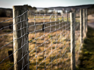 Fence - setting boundaries