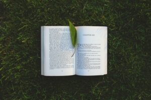A book lying open on the grass with a green leaf placed by the spine as a bookmark.
