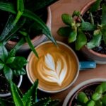 Photo of a mug of coffee with a frothy leaf pattern surrounded by house plants