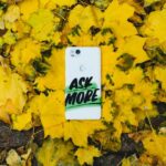 Yellow maple leaves with a white smartphone lying amongst them which has 'Ask More' written across its reverse