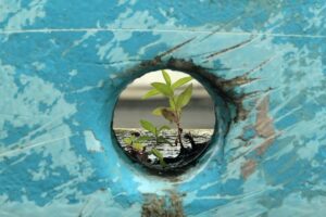 Abstract plants seen growing on damp wood through a porthole of a turquoise blue boat