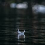 A white feather floating on rippled water with background in shallow focus