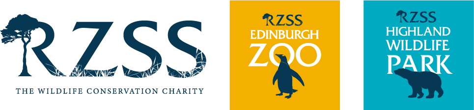 RZSS Logo for In Equilibrium Training review 